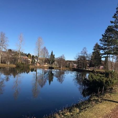 Schoene Ferienwohnung Im Suedschwarzwald Herrischried Buitenkant foto