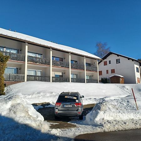 Schoene Ferienwohnung Im Suedschwarzwald Herrischried Buitenkant foto